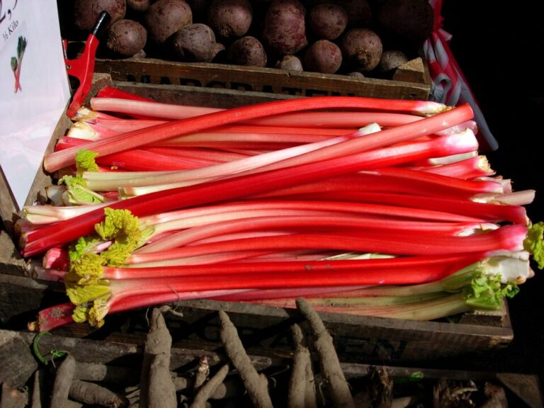 Rhubarb Fest – 26th annual